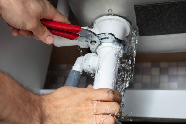 Best Flooded house restoration  in Coburg, OR