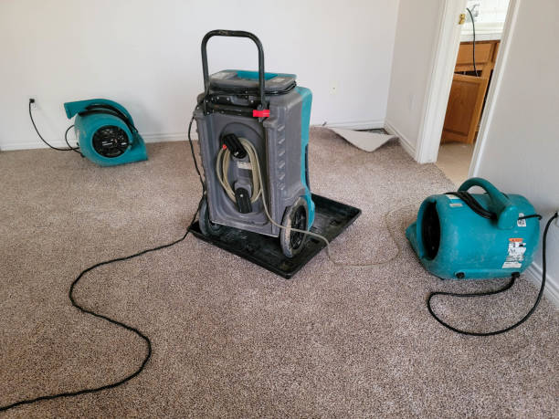 Best Emergency water extraction  in Coburg, OR