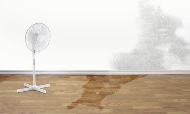 Best Emergency water damage restoration  in Coburg, OR