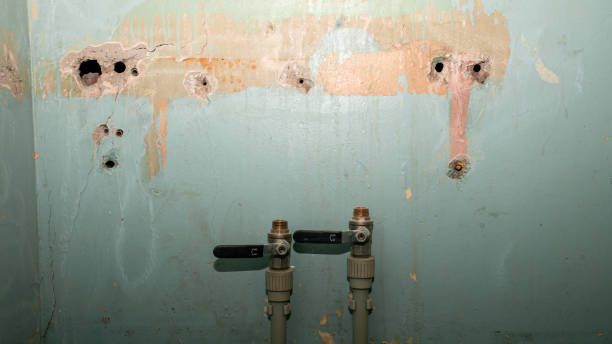 Best Professional water damage repair  in Coburg, OR