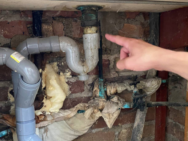 Best Fire Damage Restoration  in Coburg, OR
